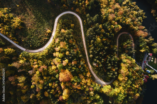 Aerial top view of curvy road through autumn forest in mountains. Nature landscape © Lazy_Bear