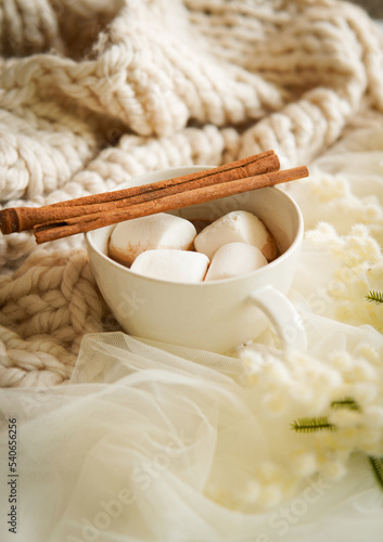 Cozy winter, hot chocolate home background