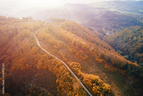 Aerial top view of road through autumn forest in mountains. Nature landscape