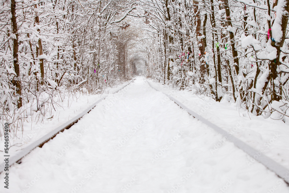 a railway in the winter forest tunnel of love a railway in the winter forest tunnel of love