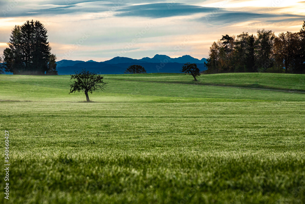 Panorama mit Bergsicht, headergeeignet, Panorama mit Bergsicht, headergeeignet,