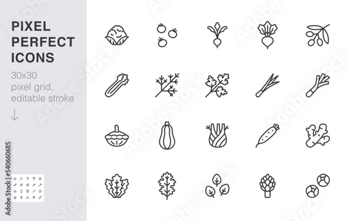 Vegetables line icon set. Kale, spinach, pumpkin, cherry tomato, cauliflower, beetroot, daikon minimal vector illustration. Simple outline sign for veggies. 30x30 Pixel Perfect, Editable Stroke