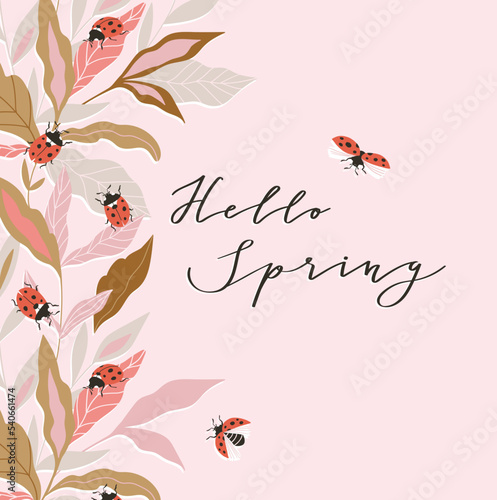 Vector insect seasonal card with lettering - Hello spring. Hand-drawn ladybugs and floral frame on the pink background. 