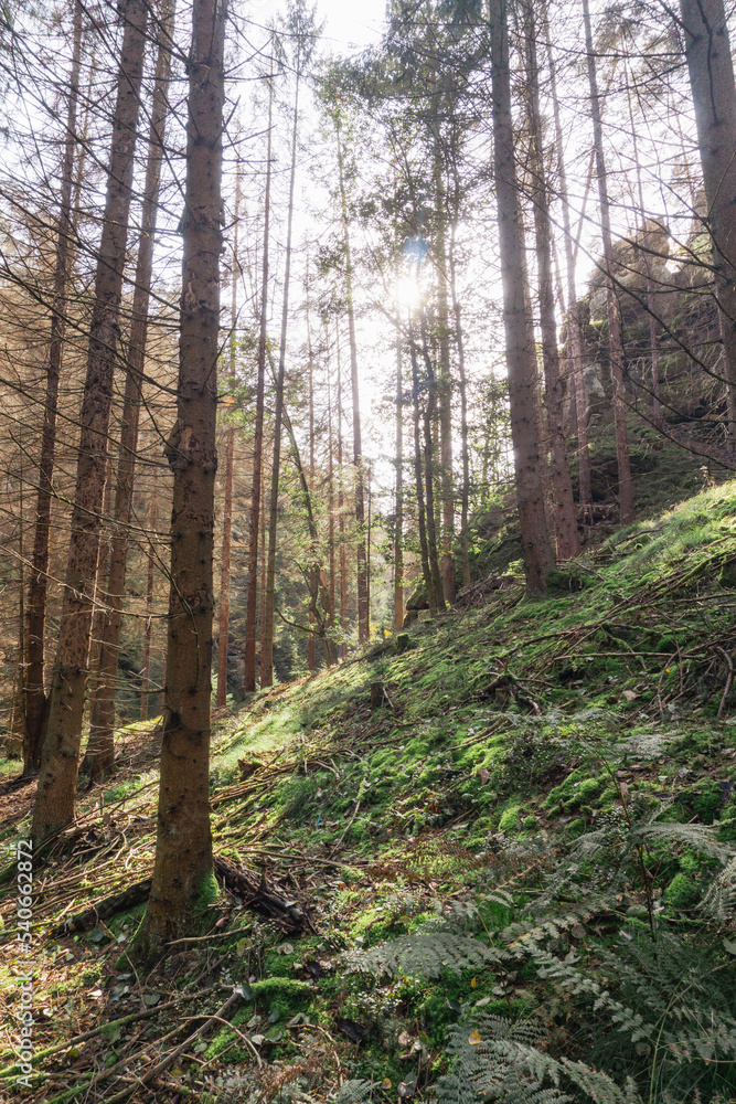 Idyllic and panoramic view of Czech Republic, National Park, Bohemian Switzerland, České Švýcarsko