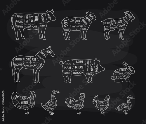 Farm animals cuts outline set. Pig, Horse, Turkey, Goat, Sheep, Chicken, Rooster, Duck, Rabbit, Goose, Cow cuts of meats. Meat diagram line banner
