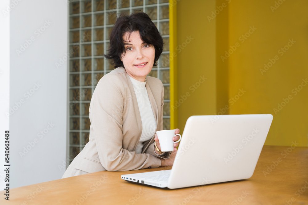 middle aged woman connecting to the Internet from home. Smiling businesswoman using a laptop in office middle aged woman connecting to the Internet from home. Smiling businesswoman using a laptop in office