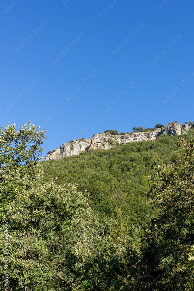 Paysage de montagne dans la région Estella en Espagne, forêt de pin et montagne blanche calcaire