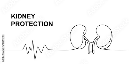 Human kidneys with heart pulse one line continuous drawing. Human organ continuous one line illustration. Vector minimalist linear illustration.