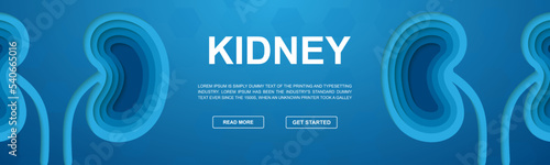 Kidneys paper cut symbol for promotion banner. Horizontal paper cut illustration. Urinary, Internal organ design template illustration concept.