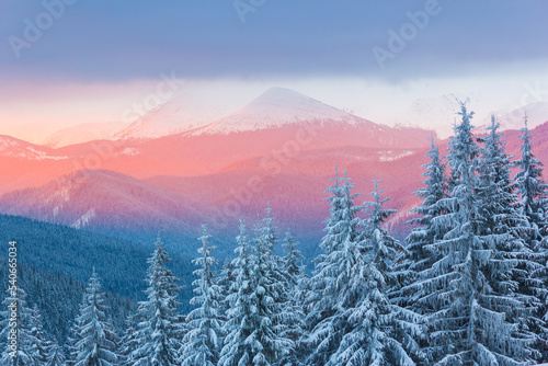 Colorful winter landscape with magic light. Frosty morning in the highlands. Fantastic sunrise in Carpathian mountains, Ukraine, Europe. Christmas holiday concept. Perfect winter wallpaper.