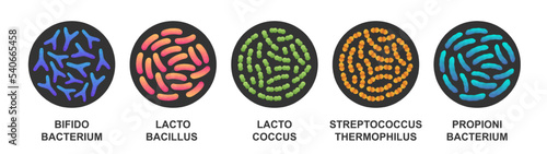Set of probiotics in a circle. Bacteria and microorganisms. Bifidobacterium, lactobacillus, lactococcus, streptococcus thermophilus, propionibacterium