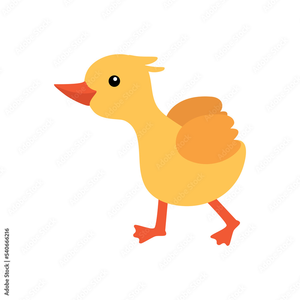 Cartoon illustration. Duckling is an animal and a family duckling. Cartoon illustration. Duckling is an animal and a family duckling.