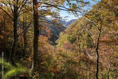 autumn colors in the apennines frignano park and corno alle scale church madonna del faggio and monte acuto modena bologna photo