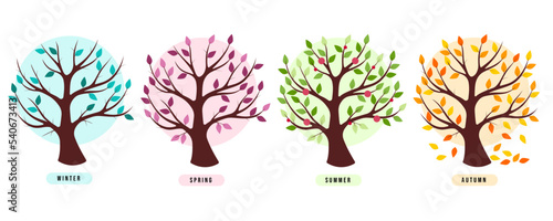Four trees according to the seasons with title