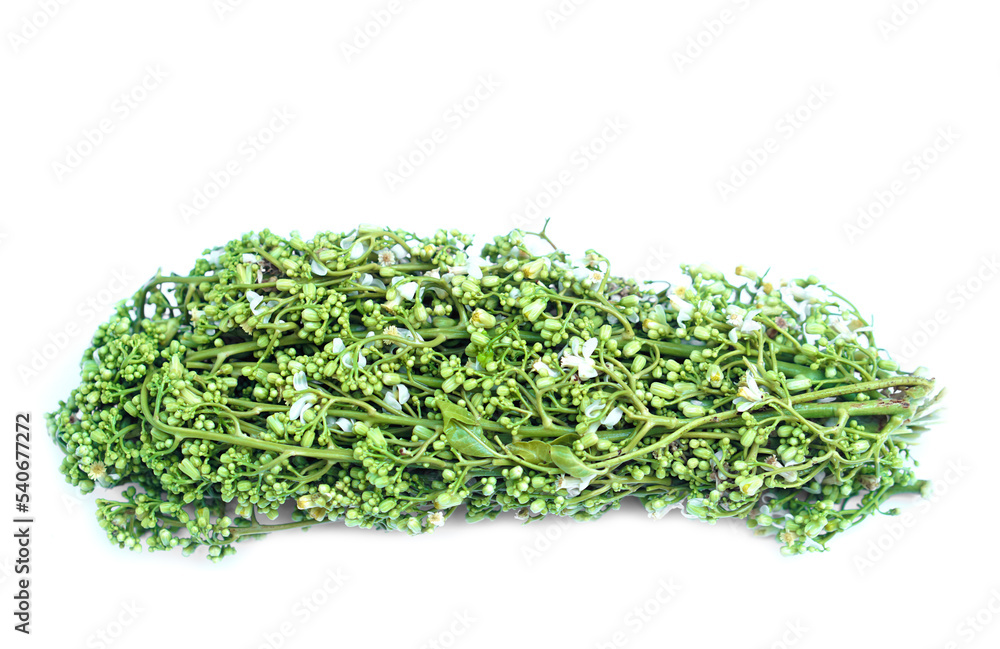 Boiled neem vegetables isolated on white background. Concept Healthy