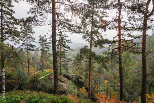 Idyllic and panoramic view of Czech Republic  National Park  Bohemian Switzerland    esk     v  carsko