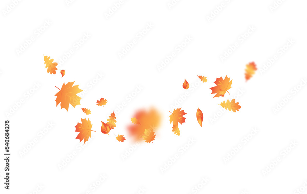 Autumn leaf flying background. Thanksgiving day card. Fall maple composition. October foliage wave frame. Oak leaves decor september poster. Orange plant. Harvest party invitation. Vector illustration