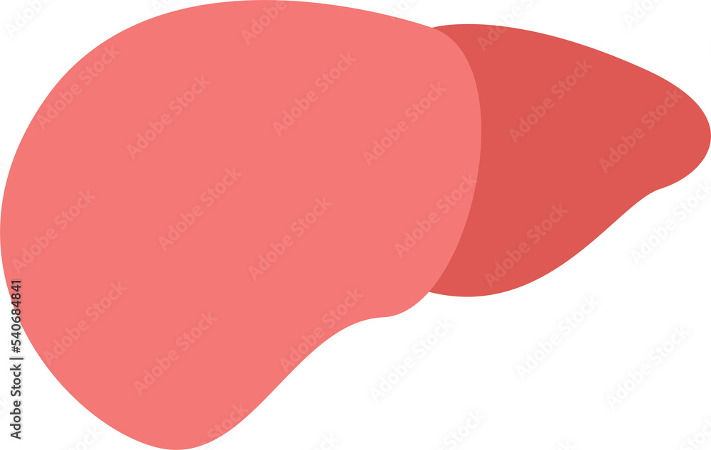 Illustration liver. Healthy and medicine. Flat design concept. PNG Illustration liver. Healthy and medicine. Flat design concept. PNG