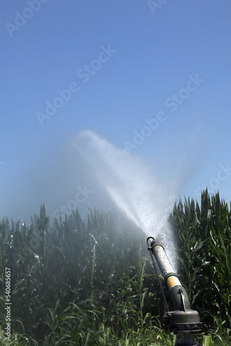 Farm sprinkler or water cannon watering