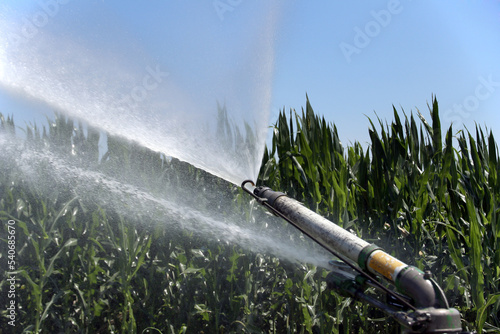 Farm sprinkler or water cannon watering
