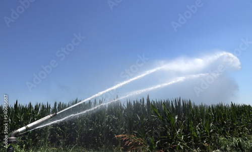 Farm sprinkler or water cannon watering
