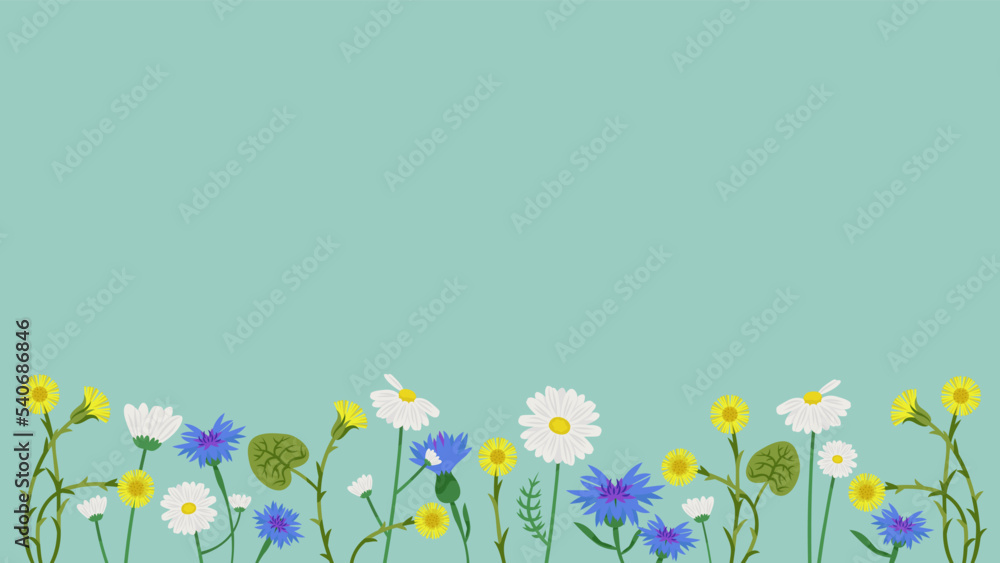 Banner with wildflowers. Beautiful design template in cartoon style.