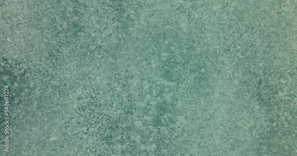Abstract underwater background. Dirty water close up. Abstract underwater background. Dirty water close up.