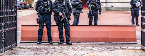 Quadro su tela An authorised firearms officer (AFO) is a British police officer who is authoris