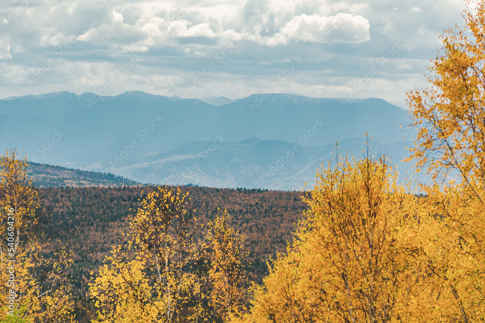Fototapeta premium autumn in the mountains
