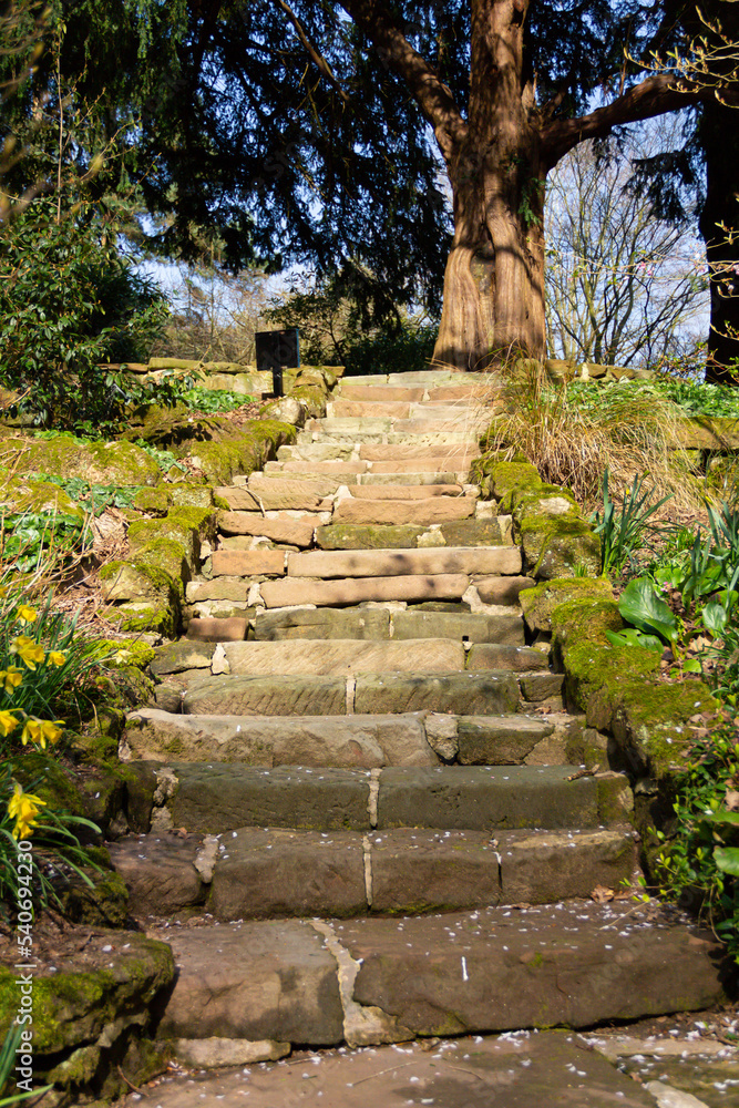 Old sandstone stairway outdoors in Shropshire countryside, man made and uneven leading into woodland on a spring day.