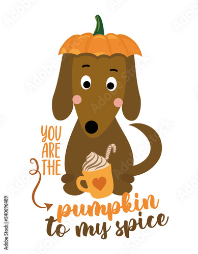 You are the pumpkin to my spice - Hand drawn vector illustration with cute fox with pumpkin spice latte. Autumn color poster. Good for poster, greeting card, banner, textiles, gift, shirt, mug.