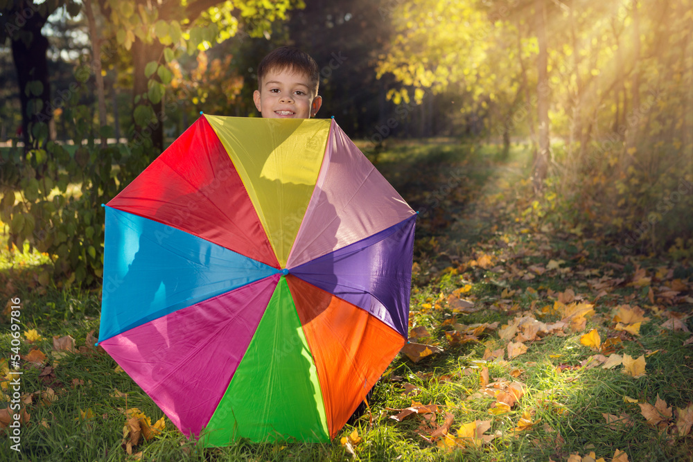 Laughing boy in autumn forest, hidden by opened rainbow umbrella, with beautiful sunlight
