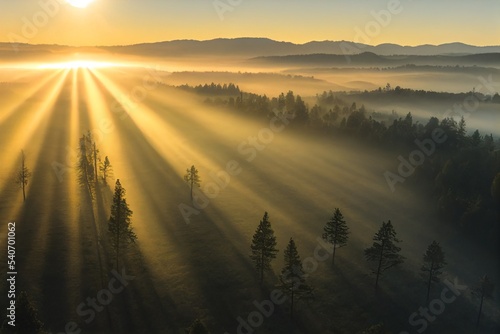 Photo sunrise in the forest