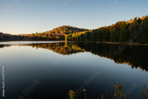 water surface lake in autumn