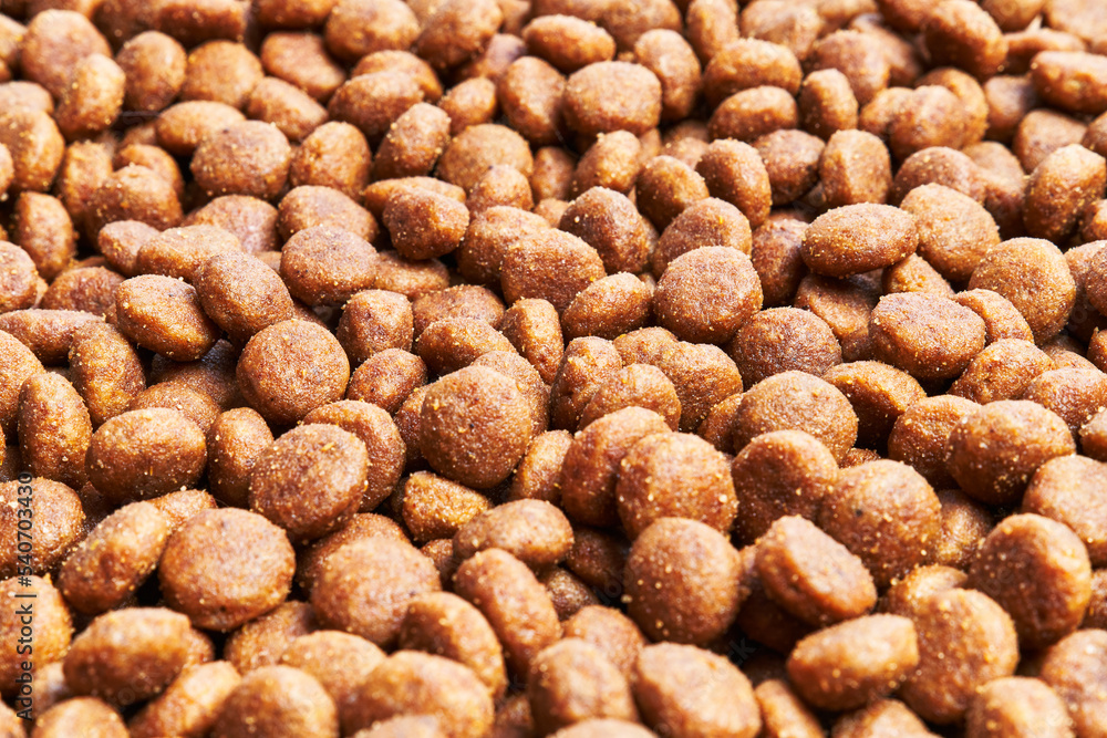  Delicious group of dog food balls texture