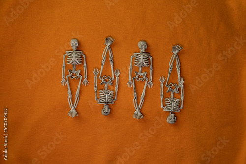 Skeletal dolls on a bright orange background. Getting ready for Halloween. The skeleton is a toy. Halloween celebration. orange background texture. the little man. Toy Human skeletons.