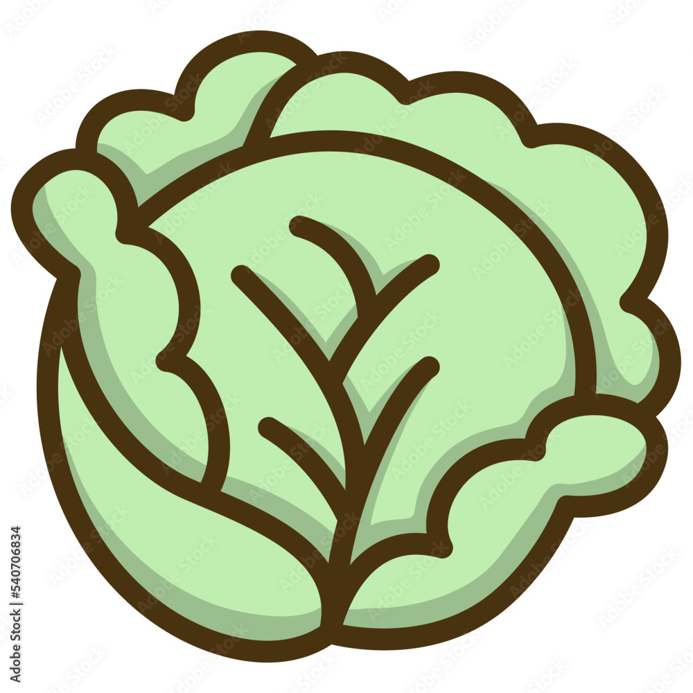 cabbage leaves vegetable organic fresh cabbage leaves vegetable organic fresh