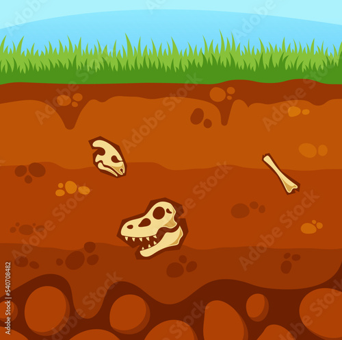 Underground Layer Structure With Reptile Fossils, Soil With Dinosaur Skeleton Skulls And Bones. Jurassic Era Animals