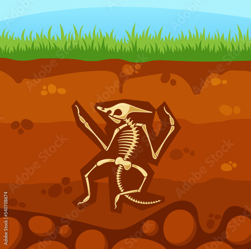 Archeology Bones In Soil Layers. Buried Animal Fossil, Dinosaur Skeleton Bones In Dirt Underground Clay Layer, Lizard