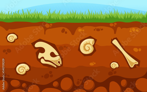 Soil Layers with Dinosaur Skeleton Skull, Bones and Ammonites. Upper Layer Of Earth Structure With Reptile Fossils
