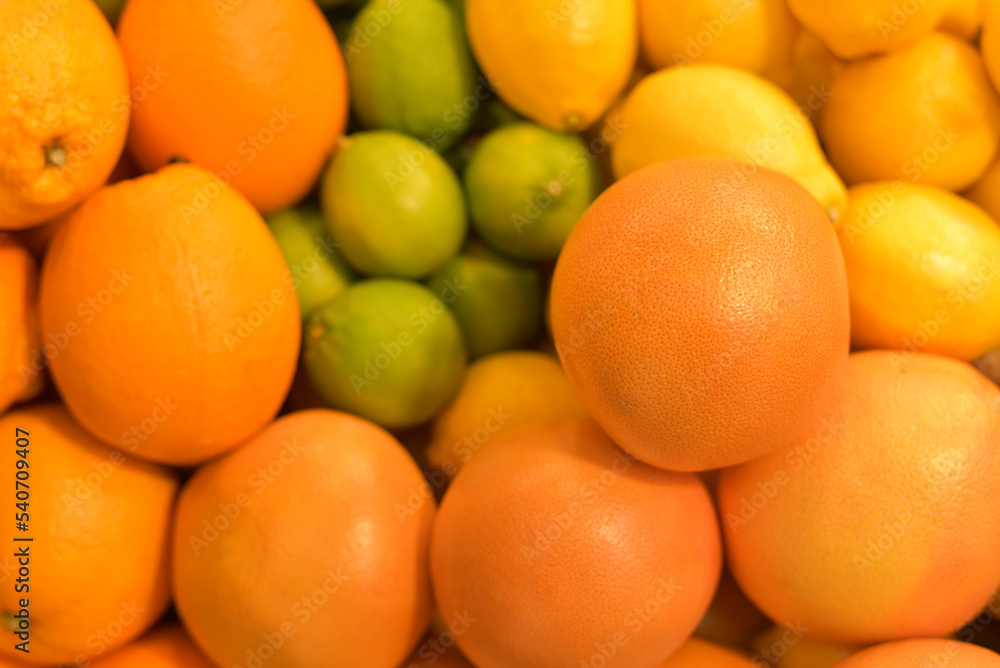 Rows of oranges on the counter Rows of oranges on the counter