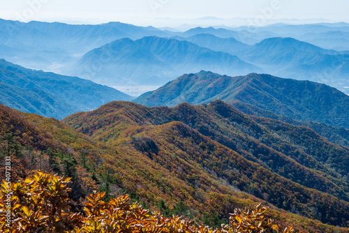 지리산 노고단 단풍 