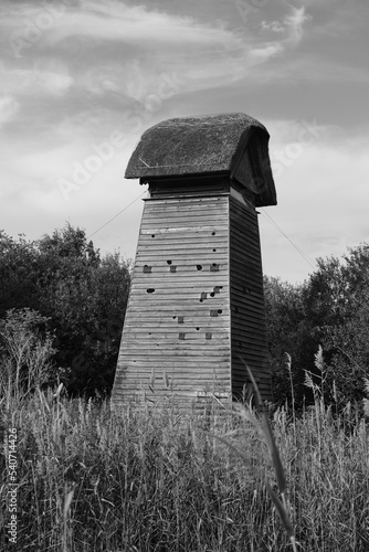  Wicken Fen Nature Reserve photo