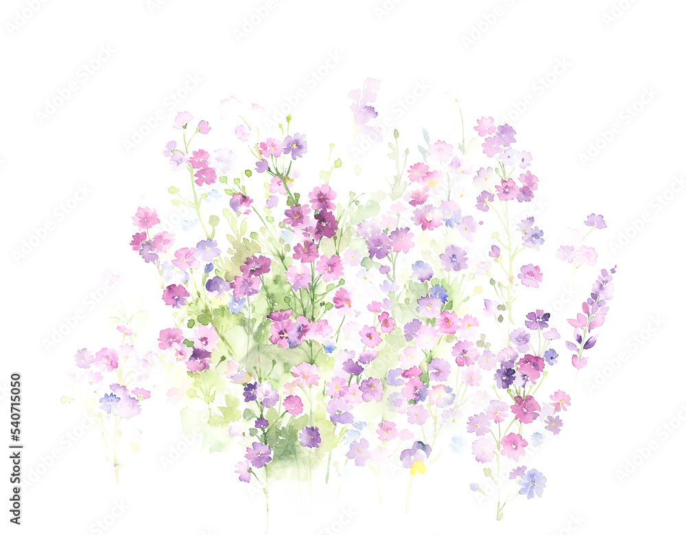 Flowers watercolor illustration.Manual composition.Big Set watercolor elements，Design for textile, wallpapers，Element for design, Greeting card
