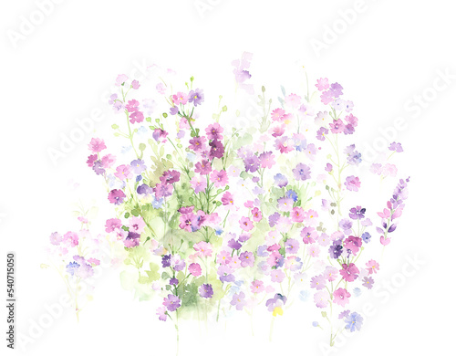 Flowers watercolor illustration.Manual composition.Big Set watercolor elements   Design for textile  wallpapers   Element for design  Greeting card 