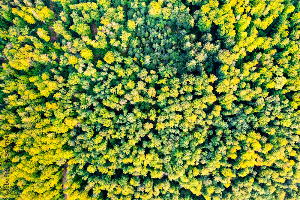 Germany, Baden-Wurttemberg, Drone view of green autumn forest in Rems Valley Germany, Baden-Wurttemberg, Drone view of green autumn forest in Rems Valley
