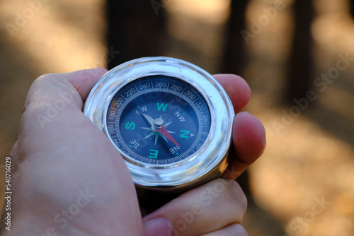 Travel with compass in hand in pine sunny forest.