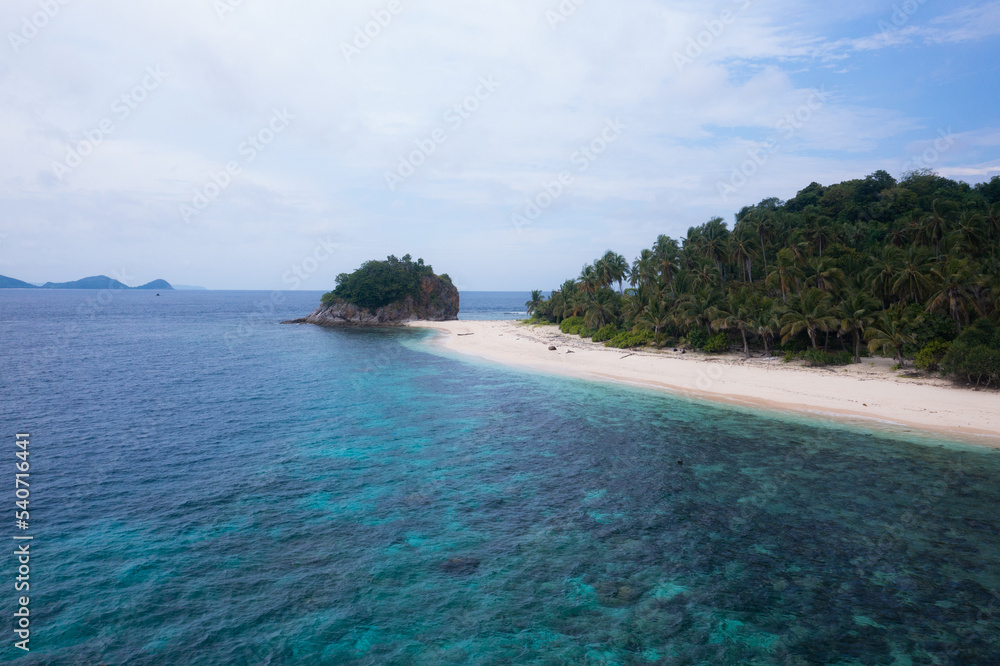 Fototapeta premium beach with trees