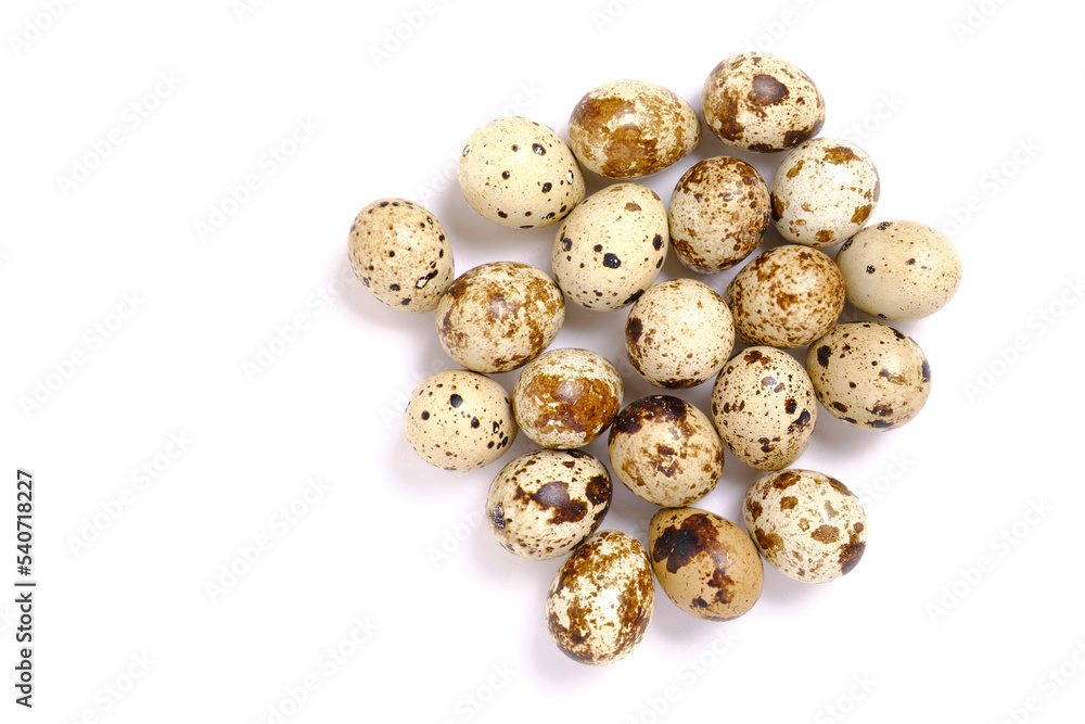 Lots quail eggs white background. Lots quail eggs white background.