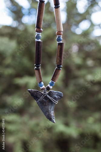 Hanging great white shark tooth necklace